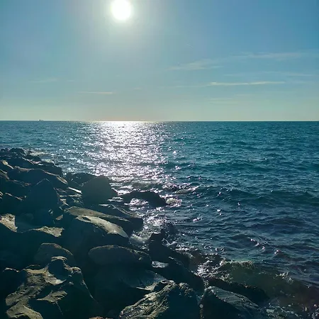 Sun And *